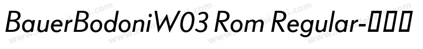 BauerBodoniW03 Rom Regular字体转换